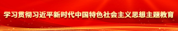 大操无毛B视频学习贯彻习近平新时代中国特色社会主义思想主题教育