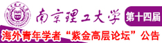 鸡巴好大免费视频南京理工大学第十四届海外青年学者紫金论坛诚邀海内外英才！